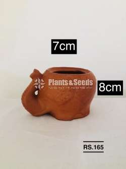 Decorative Clay Pots