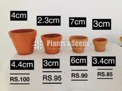 Decorative Clay Pots