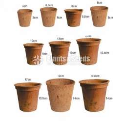 COCO Coir Pot