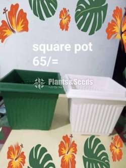 Plastic flower pots