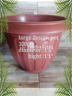 Plastic flower pots