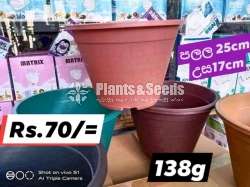 Plastic Pots for Whole sale 