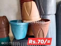 Plastic Pots for Whole sale 