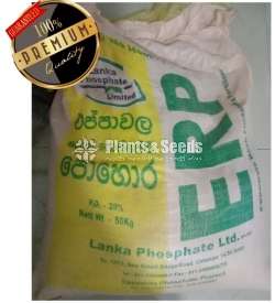 Rock Phosphate Powder 