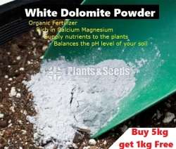 Dolomite Powder