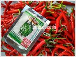 Chilli Seeds Mich hy1 Miris Hybrid 10g