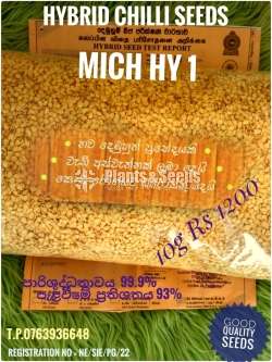 Chilli Seeds Mich hy1 Miris Hybrid 10g