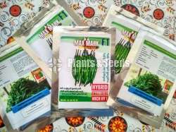 Chilli seeds Mich hy1 Miris Gardening Agriculture මිරිස් 10g