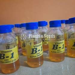 B 1 විටමින් (Vitamin)