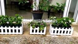 Wooden Planter Boxes 