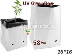 Grow Bags 