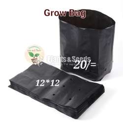 Grow Bags 