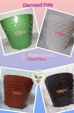 Decorative Plastic Pots