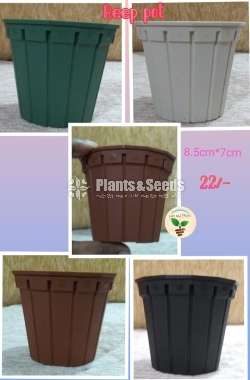 Decorative Plastic Pots