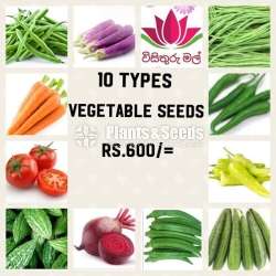 Vegetable plants