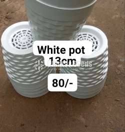 White Pots