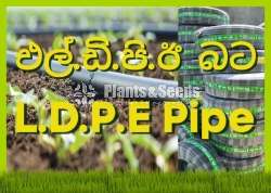LDPE Pipe for Agriculture එල්