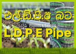 LDPE Pipe for Agriculture එල්.ඩි.පි.ඊ බට