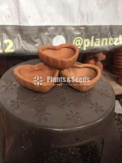 Clay Pots 