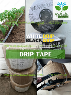 Drip Tape බිංදු පටි